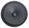 Woofer 12” 300mm 100W 4Ohm WF-124