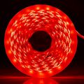 Striscia LED 12V 5m luce rossa 4.8W/m 6970233833314 5501060 WB115