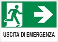 Cartello segnaletico uscita di emergenza con freccia a destra 30x20cm 8024814459610 WB2018
