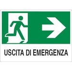 Cartello segnaletico uscita di emergenza con freccia a destra 30x20cm 8024814459610 WB2018