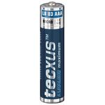 Batteria al manganese alcalino 1,5V LR03/AAA blister da 10 23778 4250145110287 F1426