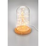 Campana in vetro con catena luminosa a micro LED Goobay 4040849603402 60340 F1722