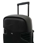 Cassa acustica passiva 100W 8 OHM 15 pollici PP-158