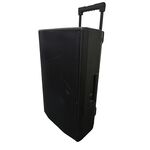 Cassa acustica passiva professionale 300W 8 OHM