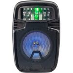 Cassa acustica Bluetooth 20W ricaricabile con USB/SD/Radio FM e luci LED SG-R28