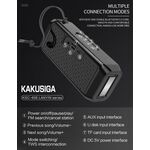 Altoparlante Bluetooth ingressi AUX/USB/Scheda SD Radio FM nero KSC-606 F2520