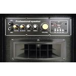 Casse Acustiche Amplificate Coppia 200W max con USB - Black LY32-B