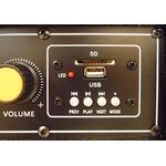 Casse Acustiche Amplificate Coppia 200W max con USB - Black LY32-B