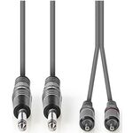 Cavo audio stereo 2x 6,35mm maschio-2x maschio RCA 1.5m COTH23320GY15 5412810295333 ND9166