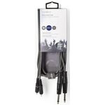 Cavo audio stereo 2x 6,35mm maschio-2x maschio RCA 1.5m COTH23320GY15 5412810295333 ND9166