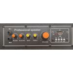 Coppia casse acustiche amplificate da 12" con Bluetooth 250W max LY33-B