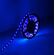 Striscia LED 12V 5m luce blu 4.8W/m 6970233833321 5501070 N210