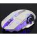 Mouse da gaming LED wireless con batteria ricaricabile incorporata bianco FV-W502 6959229900278 FV-W502 WB2260