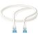 Cavo di rete CAT6a S/FTP RJ45 maschio 50cm argento 5412810333561 CCTB85321AL05 Z309Cavo di rete CAT6a S/FTP RJ45 maschio 50cm argento 5412810333561 CCTB85321AL05 Z309