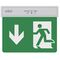 Lampada LED uscita d'emergenza freccia verso il basso 2W 6500k luce fredda 6070233838036 5020160 EL411