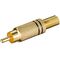Connettore RCA nero placcato oro 4051366112810 11281 F1470